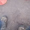 Abdul Michael - @abdul.michael - TikTok