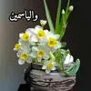 Abdul Moe - @abdulmoe0 - TikTok