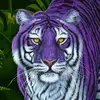 Abdul Moeez - @abdul.moeez.7 - TikTok