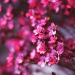 Abdul Moheet - @abdul.moheet.7311 - Instagram