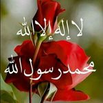 Nashwa Abdul Moheet - @nashwaabdulmoheet - Instagram