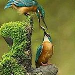 Abdul mohit - @abdul_mohit - Instagram