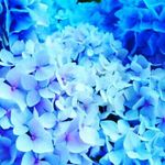 Abdul Mohit - @abdulmohit333 - Instagram