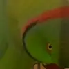 Abdul Moid - @abdulmoid407 - TikTok