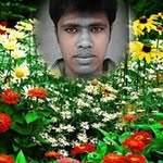 Abdul Majid Mollah - @abdul_mollah - Instagram