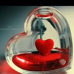 Abdul Mollah - @mollaha664 - Instagram