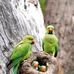 Abdul Salam Mollah - Facebook