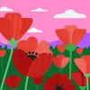 Abdul momoh - @abdul.momoh03 - TikTok