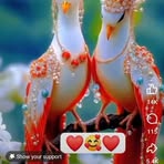 Abdul Motlib - Facebook