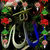Abdul Naveed - @abdulnaveed349 - TikTok