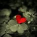 Abdul Qadr - Facebook
