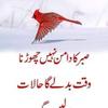 Abdul Raseed - @abdulraseed176 - TikTok