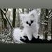Abdul Rasul - Facebook