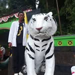 Abdul raymond - @abdulraymond74 - Instagram