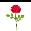 Abdul Razique - @abdulrazique444 - TikTok
