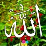 Abdul Rhim Khan - @96274_01319 - Instagram