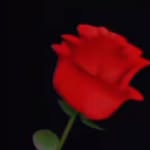 Azam Khan - @abdul_rhim_king - Instagram