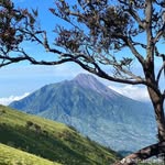 Abdul Robbani Nur Arsyad - @abdulrobbaninur - Instagram
