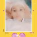 Abdul Rub - Facebook