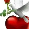 abdulsafi012 - @abdulsafi012 - TikTok