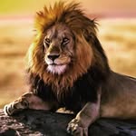 ABDUL sait - @kaleemsait_75 - Instagram