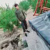Abdulsamim Haidari - @abdulsamim.haidar - TikTok