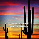 ABDUL SÁNCHEZ - @abdulnsanchez - Instagram