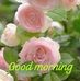 Abdul Sarkar - Facebook