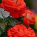 Abdul Sathar - Facebook