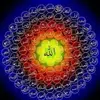 Abdul Sayed - @abdulsayed58 - TikTok