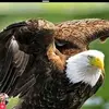 Abdul Shaker - @abdul.shaker32 - TikTok