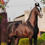 MD Shaker Md Shaker - @abdul_shaker_6932 - Instagram