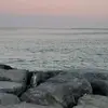 Shameema Abdul Rahma - @shameemaabdulrahman - TikTok