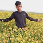 Abdul short - @af___abdul___gp - Instagram