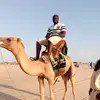 Sidibe Abdul - @sidibe.abdul - TikTok