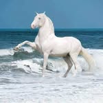Sameer Khan - @abdul.singh.562329 - Instagram