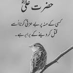 Abdul Soomro - @abdulsoomro74 - Instagram