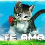 abdulsoto - @abdulsoto012 - Instagram