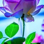 ABDULSUKKAR - @abdulsukkar8 - Instagram