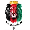 Abdul SULTAN - @afghanlaghman03 - TikTok