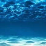 Abdul-aziz Sutton - @therealziz2 - Instagram