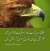 Abdul Hakeem Tahir - Facebook