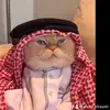 Abdul Altayeb - @abdul.altayeb - TikTok