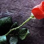 Abdul Ullah - @abdul.ullah.961 - Instagram
