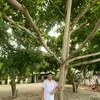 Warren Abdul - @warren.abdul6 - TikTok