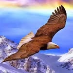 عبد القادر حمزة - @abdulkaderhamza123 - Instagram