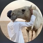 Abdullah alajmi | 🇰🇼 - @a1kwt_ - Instagram