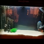 Abdullah Alsaffar - @abdullah.alsaffar81288 - Instagram