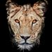 Abdllah Alsaeel - Facebook