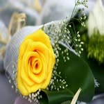 abdullah alshaibi - @abuemad13 - Instagram